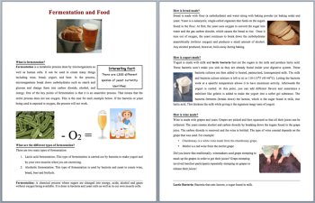 Fermentation and Food - Yogurt, Bread, and Alcohol Reading Article Grade 8 & Up, image 2