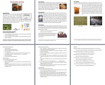 Fermentation and Food - Yogurt, Bread, and Alcohol Reading Article Grade 8 & Up, image 3