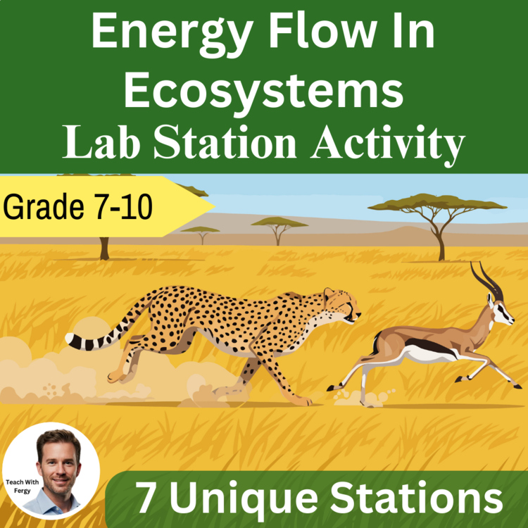 Energy Flow In Ecosystems Lab Station Activity | 7 Hands-on Activities