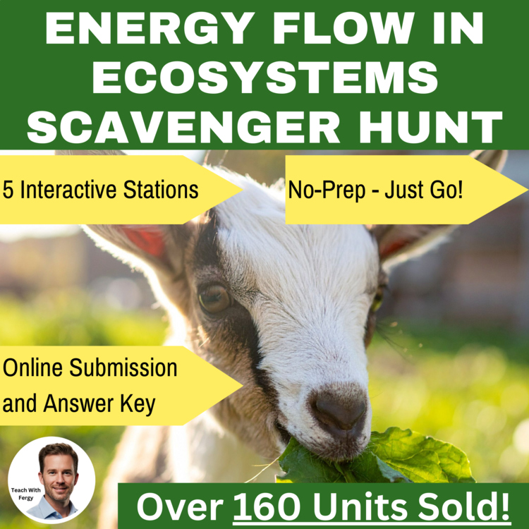 Energy Flow in Ecosystems - A Digital Scavenger Hunt Activity | Food Webs