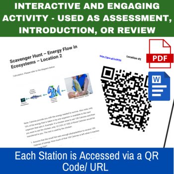 Energy Flow in Ecosystems - A Digital Scavenger Hunt Activity | Food Webs, image 2