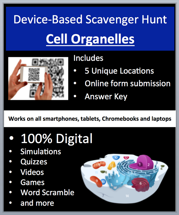 Cell Organelles Digital Scavenger Hunt Activity | Organelle Structure & Function