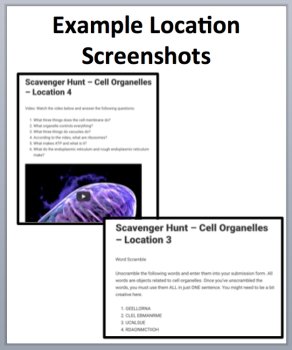 Cell Organelles Digital Scavenger Hunt Activity | Organelle Structure & Function, image 3