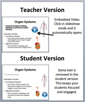 Cell Organization - Cells, Tissues, Organs, and Systems - PowerPoint Lesson, image 2