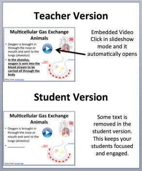 Unicellular and Multicellular Organisms Lesson | Cells, Bacteria, Protozoa, image 2
