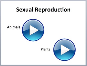 Unicellular and Multicellular Organisms Lesson | Cells, Bacteria, Protozoa, image 3