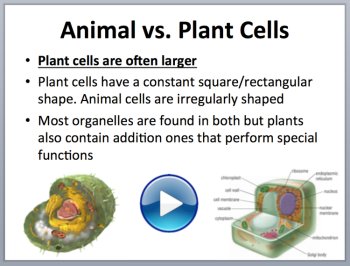 Plant Cells - PowerPoint Lesson and Student Notes Package, image 2