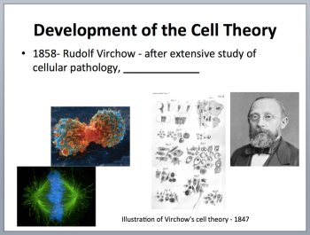 The Cell Theory - An Introduction - PowerPoint Lesson and Student Notes Package, image 3