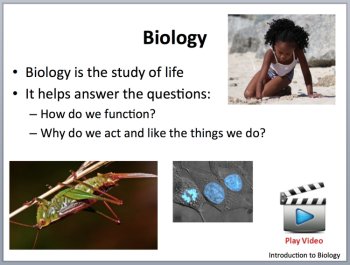 The Cell Theory - An Introduction - PowerPoint Lesson and Student Notes Package, image 4