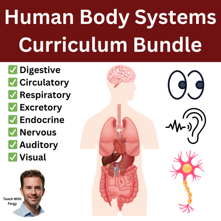 Human Body Systems Bundle Worksheets, Lessons, Activities | Body System Project