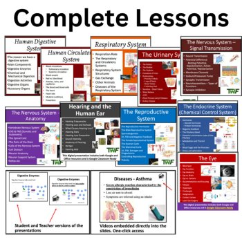 Human Body Systems Bundle Worksheets, Lessons, Activities | Body System Project, image 4