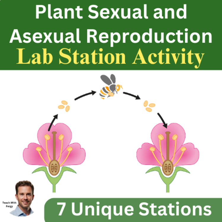 Plant Sexual and Asexual Reproduction Lab Station Activity | Importance of Bees