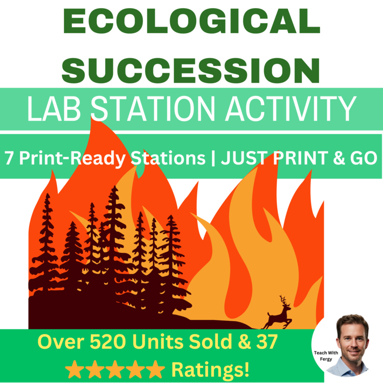 Ecological Succession - Primary and Secondary - 7 Engaging Station Activities