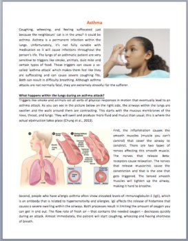 Asthma and Asthma Attacks Reading Comprehension Passage and Questions, image 2