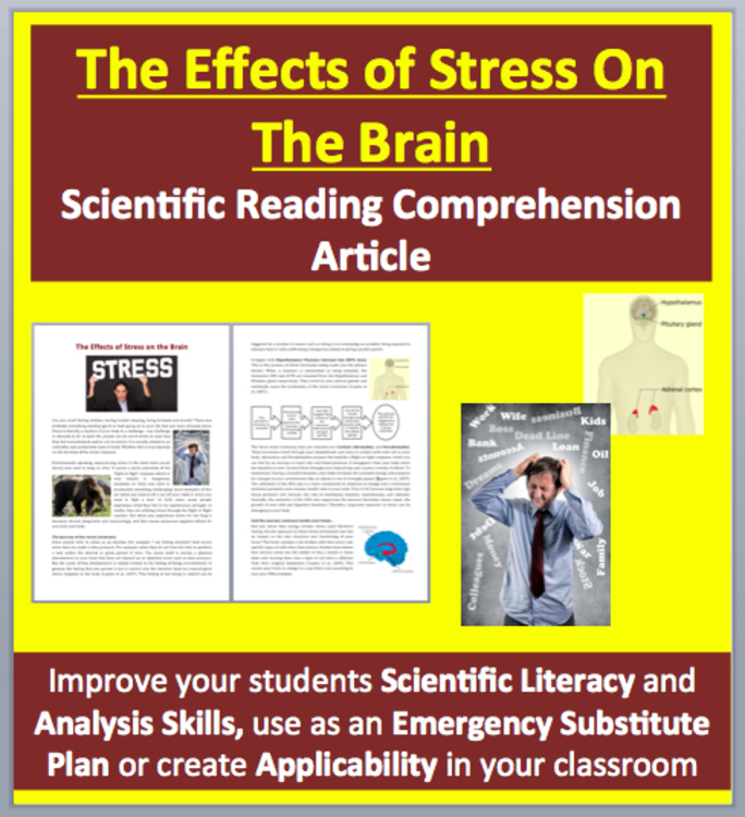 The Effects of Stress on the Brain Grades 11 and Up - Science Reading Article