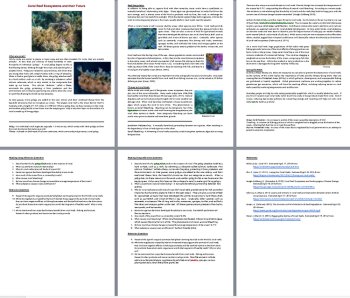 Coral Reef Ecosystems and their Future - Science Reading Article | Grade 8 & Up, image 3