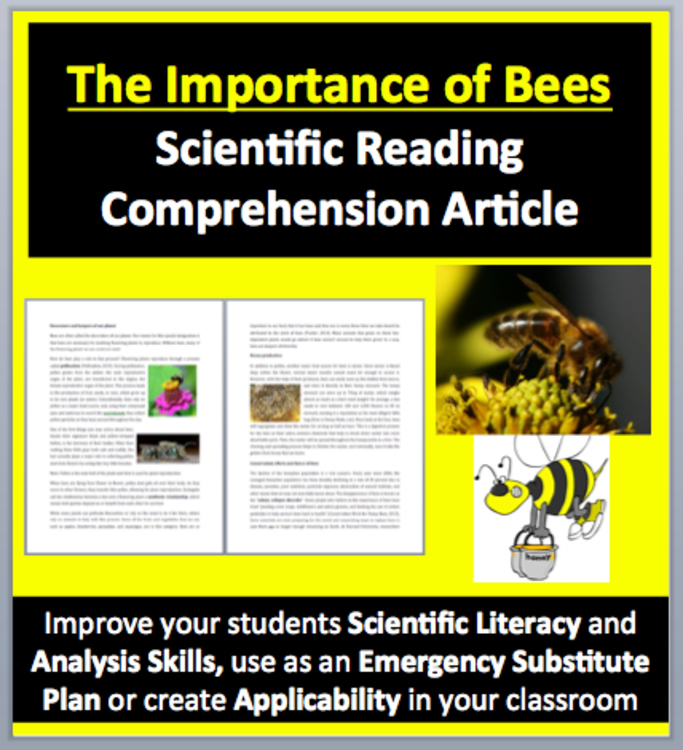 The Importance of Bees Reading Comprehension Passage & Questions | Grade 8 & Up