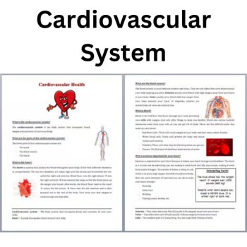 Cardiovascular System Reading Comprehension Passage & Questions | 6th, 7th, 8th, image 3