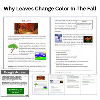 Why Leaves Change Color In The Fall - Reading Comprehension | 6th, 7th, 8th, image 2