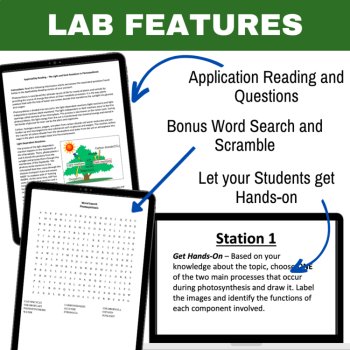 Photosynthesis Lab Station Activity | 7 Hands-on Activities | Calvin Cycle, image 4