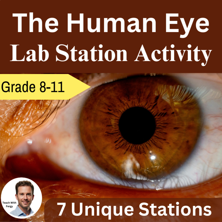 The Human Eye Lab Station Activity | 7 Hands-on Activities | Eye Anatomy