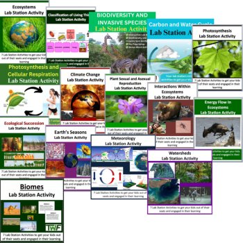 Ecology & the Environment Lab Station Activity Bundle | Ecosystems, Student-Led, image 2