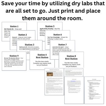 Ecology & the Environment Lab Station Activity Bundle | Ecosystems, Student-Led, image 4