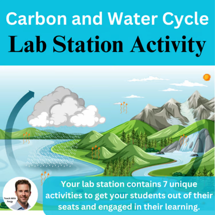 The Carbon Cycle and Water Cycle Lab Station Activity | Cycling of Matter