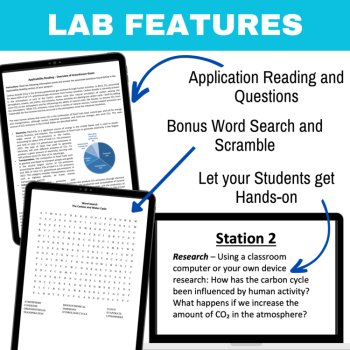 The Carbon Cycle and Water Cycle Lab Station Activity | Cycling of Matter, image 4