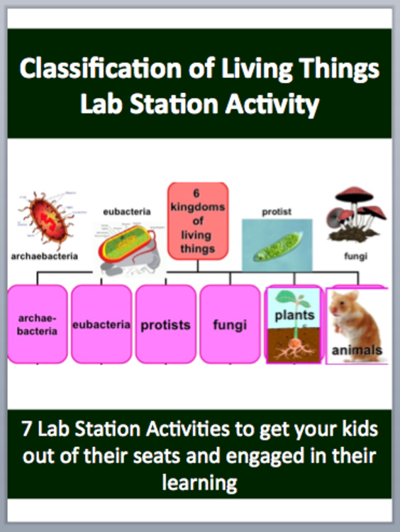 The Classification of Living Things Lab Station Activity | 7 Hands-on Activities