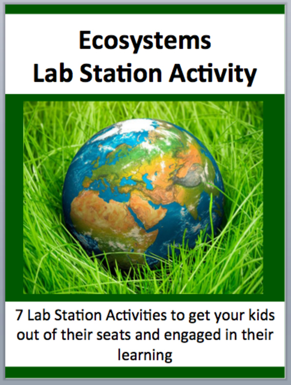 Ecosystems Lab Station Activity | 7 Hands-on Activities | Worksheet