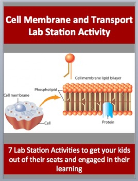 Cell Membrane and Transport Lab Station Activity | 7 Hands-on Activities