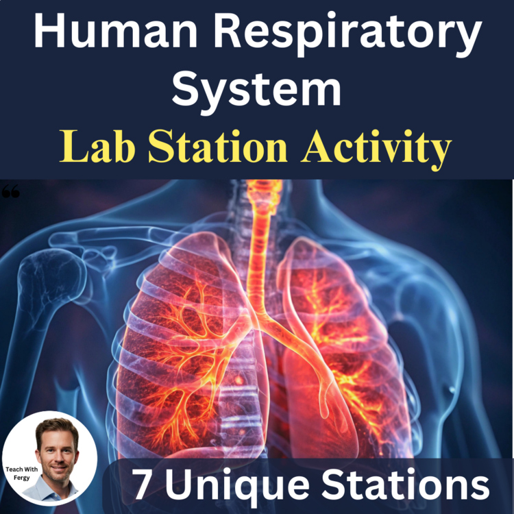 Human Respiratory System Lab Station Activity | 7 Hands-on Activities