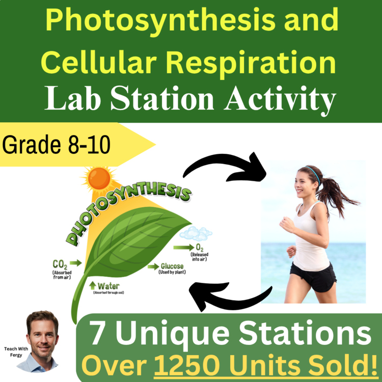 Photosynthesis and Cellular Respiration Lab Station Activity | Review Activity