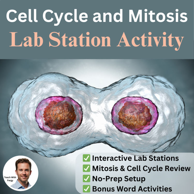 Cell Cycle and Mitosis Lab Station Activity | Cell Cycle Activity | Biology Lab