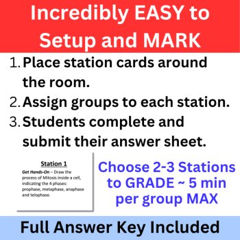 Cell Cycle and Mitosis Lab Station Activity | Cell Cycle Activity | Biology Lab, image 3