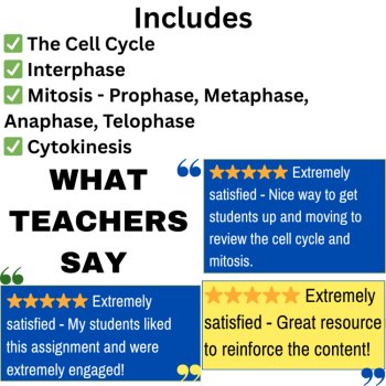 Cell Cycle and Mitosis Lab Station Activity | Cell Cycle Activity | Biology Lab, image 4