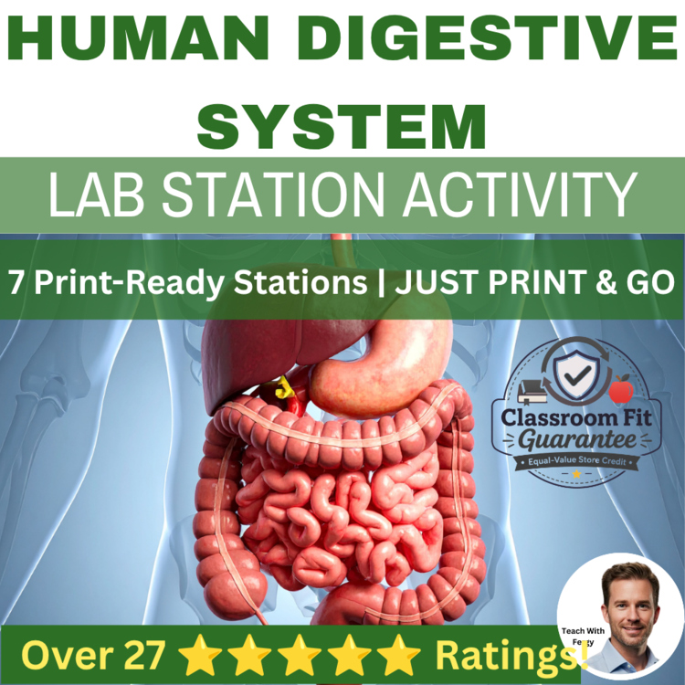 Human Digestive System Lab Station Activity | 7 Hands-on Activities | Digestion