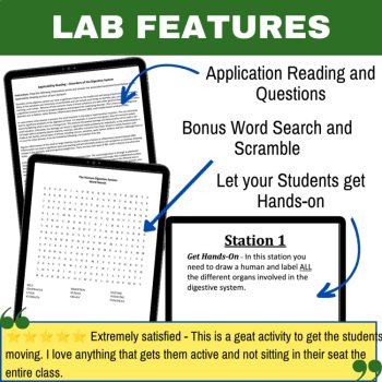 Human Digestive System Lab Station Activity | 7 Hands-on Activities | Digestion, image 4