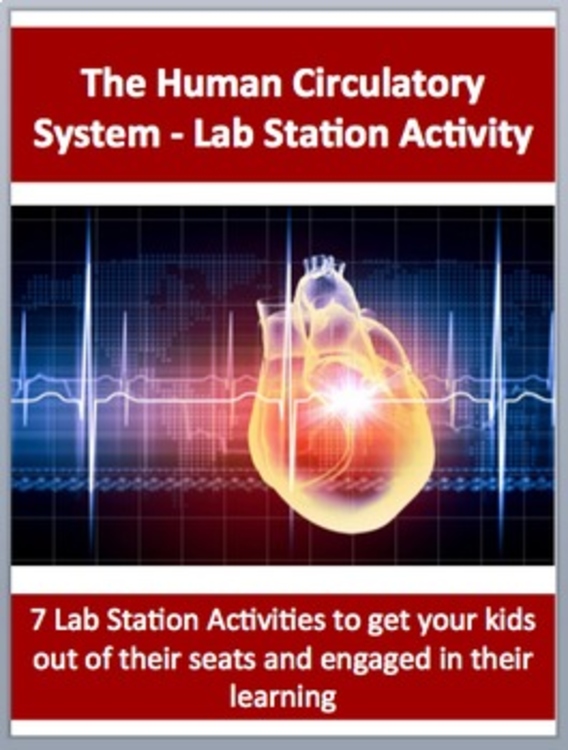 Circulatory System Lab Station Activity | 7 Hands-on Activities | Body Systems