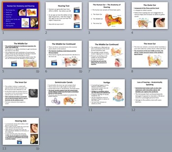 Human Ear Anatomy and Hearing - Biology and Physics Lesson Package, image 4