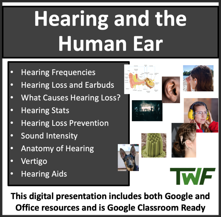 Hearing and the Human Ear Lesson | The Auditory System | High School Biology