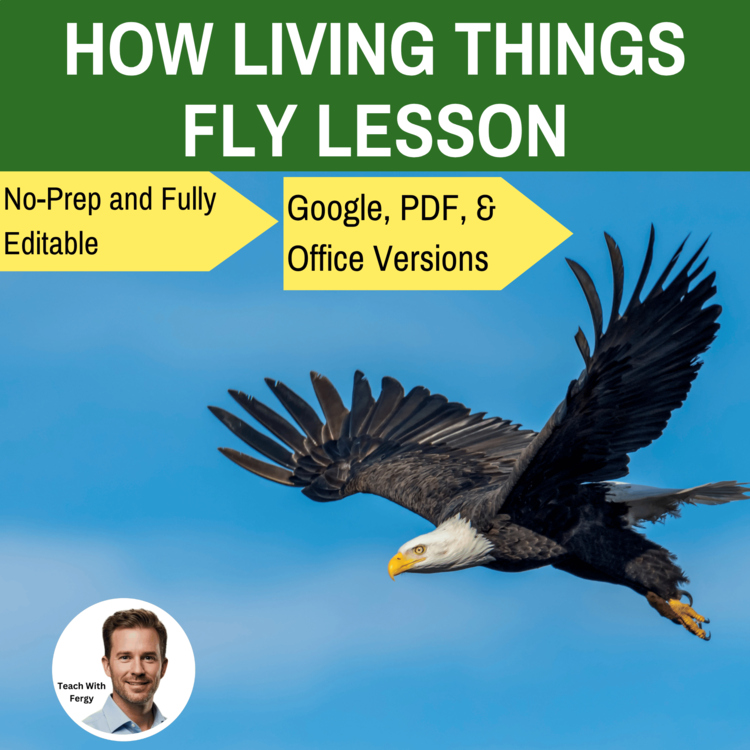 How Living Things Fly Lesson | How Birds Fly, Aerodynamics, Parachuting