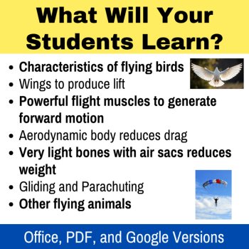 How Living Things Fly Lesson | How Birds Fly, Aerodynamics, Parachuting, image 2
