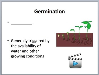 How and Why Plants Germinate - Biology Lesson Package and Germinating Factor Lab, image 2