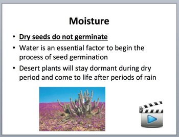 How and Why Plants Germinate - Biology Lesson Package and Germinating Factor Lab, image 3