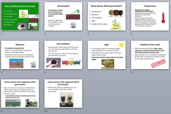 How and Why Plants Germinate - Biology Lesson Package and Germinating Factor Lab, image 4