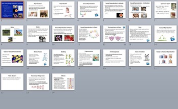 How Living Things Reproduce and Grow Lesson | Sexual and Asexual Reproduction, image 4