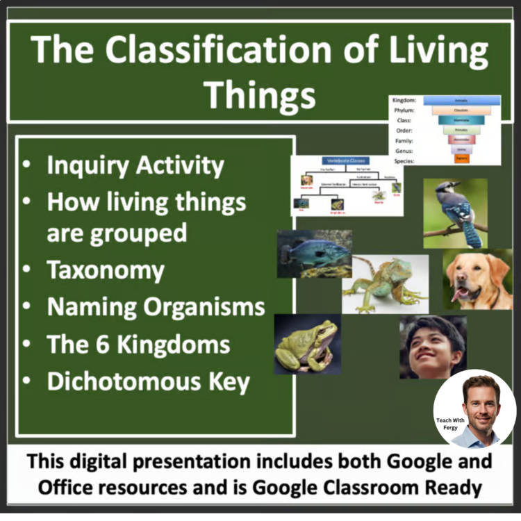 Classification of Living Things Lesson | 6 Kingdoms Worksheet, Dichotomous Key