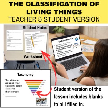 Classification of Living Things Lesson | 6 Kingdoms Worksheet, Dichotomous Key, image 2
